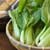 Growing Your Own Oriental Vegetables